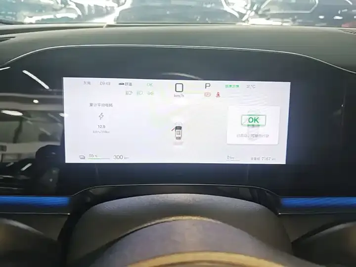 Seal 06 2025 EV 545KM Flagship 12