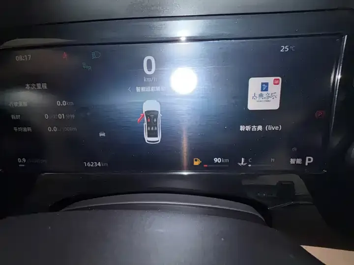XingyueL (Monjaro) 2025 model, Eastern Radiance, 2.0TD automatic all-wheel-drive Moon-Gazing Edition 9