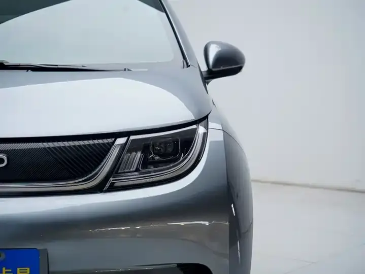 Dolphin 2021, 405 km, Fashion Edition 9