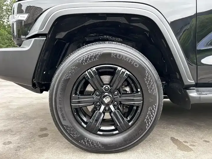 Tank 300 2023 Off-road Edition 2.0T Conqueror 9