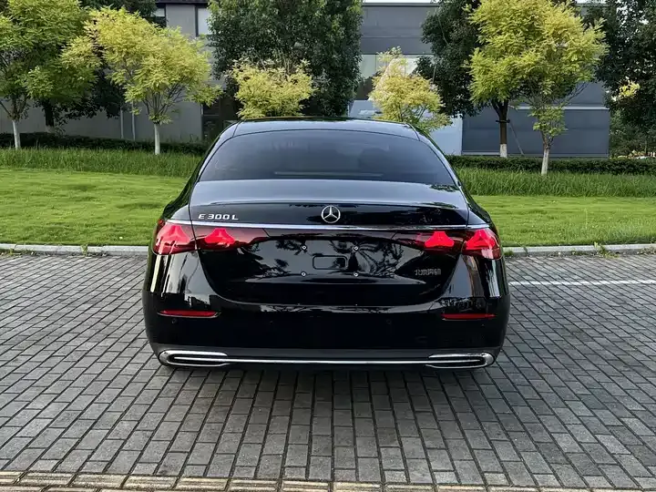 Mercedes Benz E-Class 2025 E 300 L Fashion 8