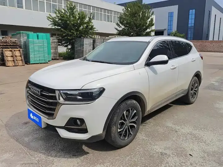 Haval H6 2021 National Tide Edition 1.5T Automatic City Edition - View 1