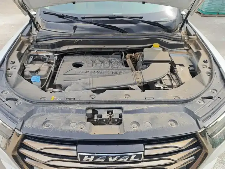 Haval H6 2021 National Tide Edition 1.5T Automatic City Edition 10