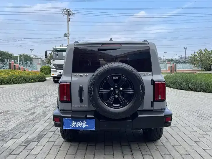 Tank 300 2021 Off-road Edition 2.0T Conqueror 5