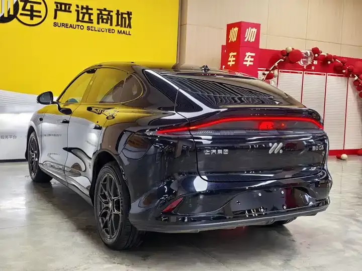 IM LS6 2025 Lizard Smart Driving Edition 5