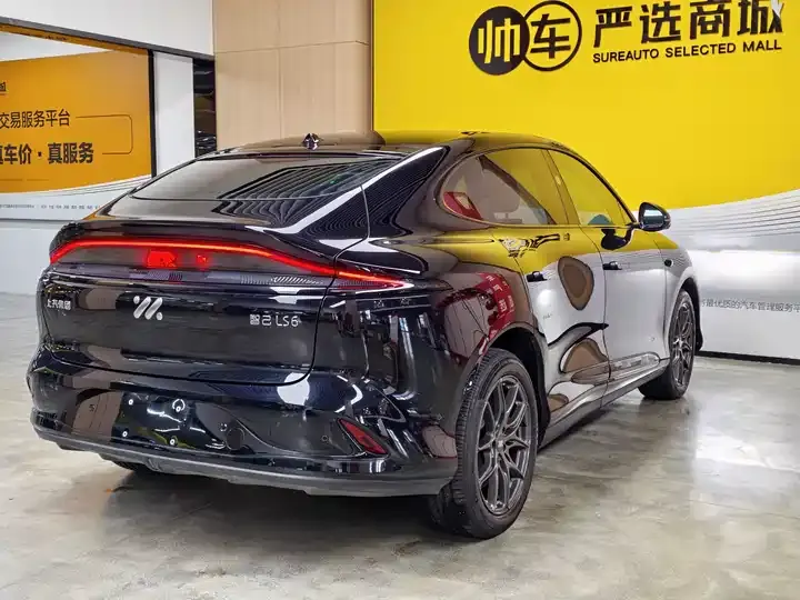 IM LS6 2025 Lizard Smart Driving Edition 6