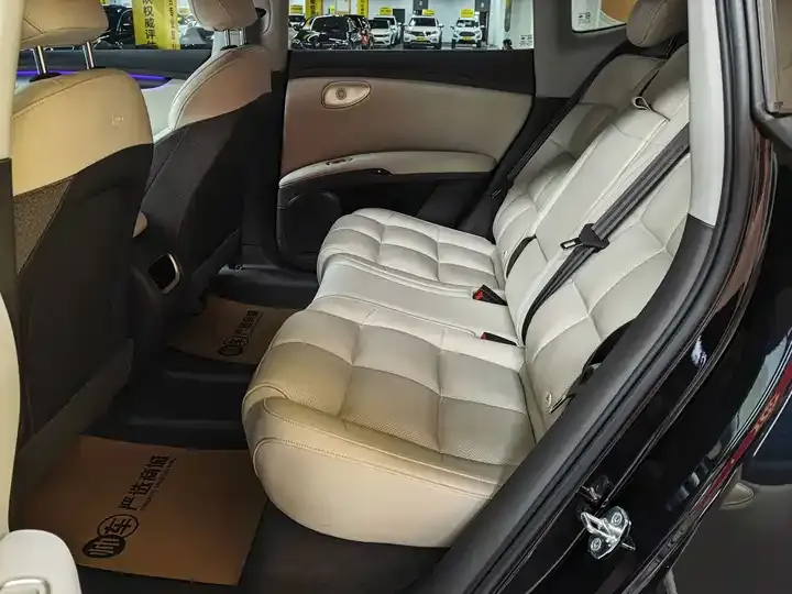 IM LS6 2025 Lizard Smart Driving Edition 9