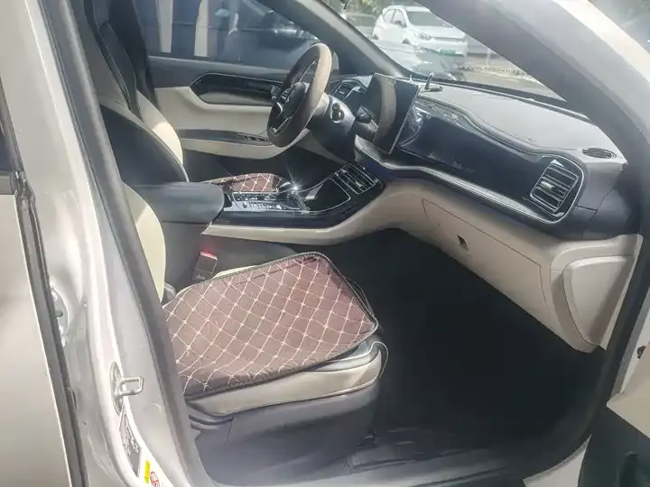 Qin PLUS 2021 EV 500KM Honorable Model 3
