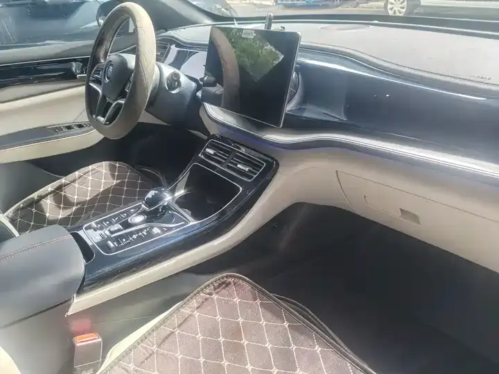 Qin PLUS 2021 EV 500KM Honorable Model 4