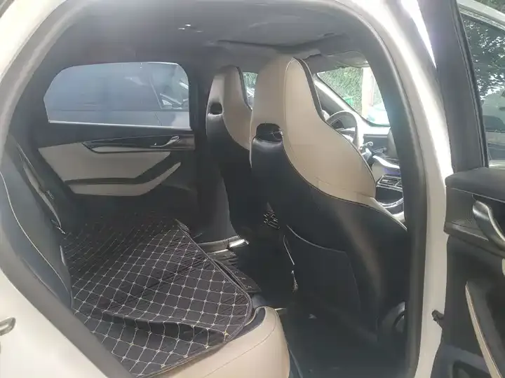 Qin PLUS 2021 EV 500KM Honorable Model 5