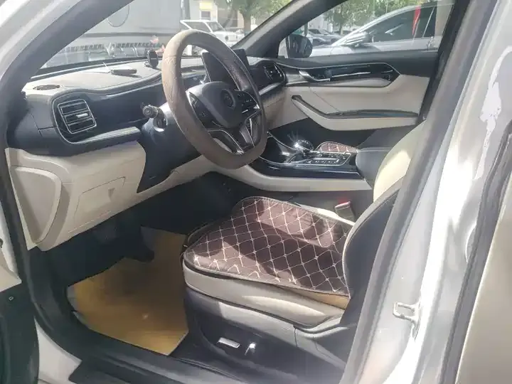 Qin PLUS 2021 EV 500KM Honorable Model 6