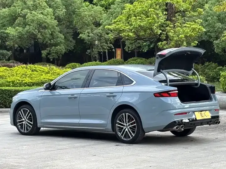 Xingrui 2023 2.0TD Honorable Model 9