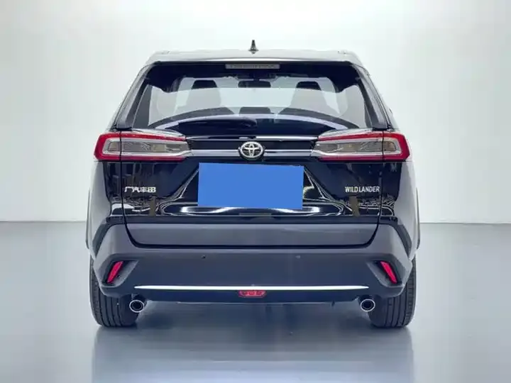 Willanda 2020 2.0L CVT Two-Drive Leading Edition 5