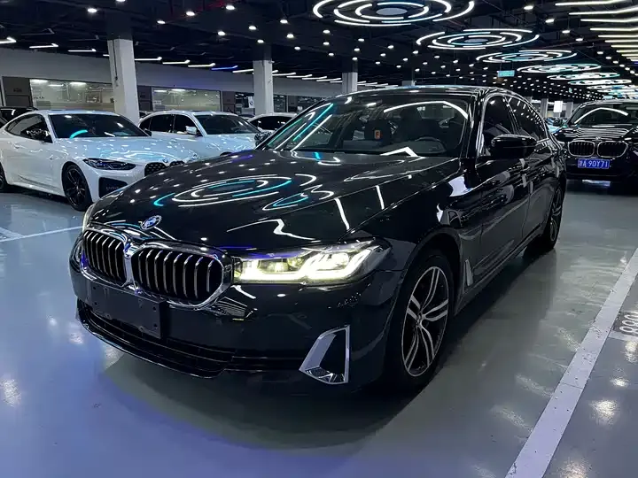 BMW 5 Series 2021 530Li Leading Luxury Suit - View 1