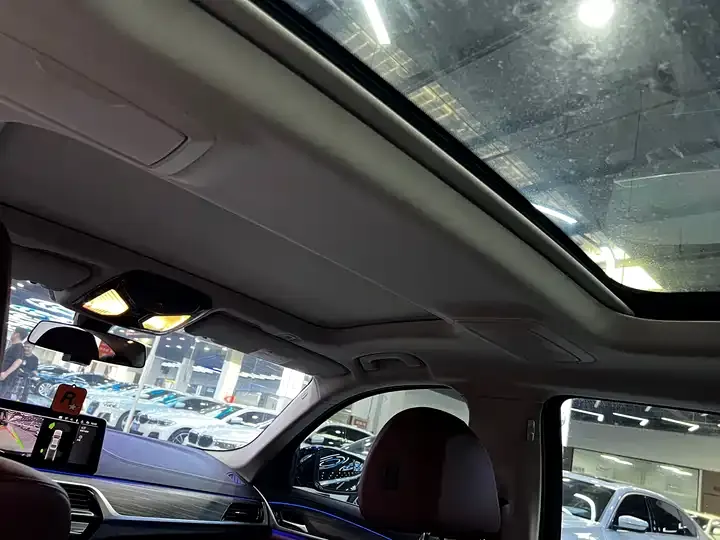 BMW 5 Series 2021 530Li Leading Luxury Suit 10