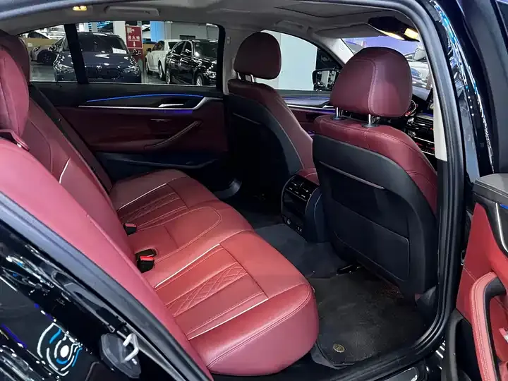 BMW 5 Series 2021 530Li Leading Luxury Suit 11