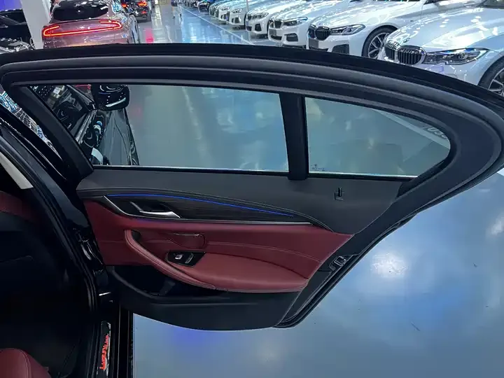 BMW 5 Series 2021 530Li Leading Luxury Suit 12