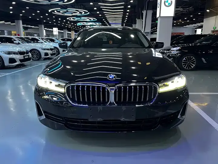 BMW 5 Series 2021 530Li Leading Luxury Suit 2