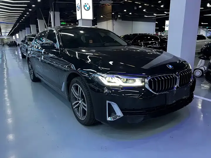 BMW 5 Series 2021 530Li Leading Luxury Suit 3