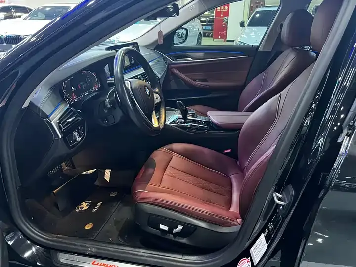 BMW 5 Series 2021 530Li Leading Luxury Suit 4