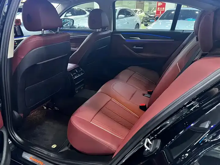 BMW 5 Series 2021 530Li Leading Luxury Suit 6