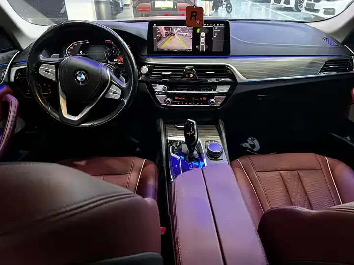 BMW 5 Series 2021 530Li Leading Luxury Suit 9