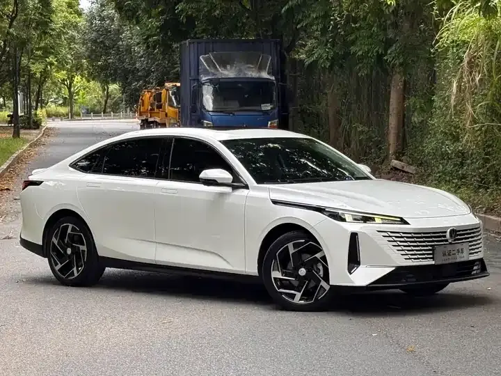 Yida 2023 Blue Whale NE 1.5T GDI DCT Flagship 3