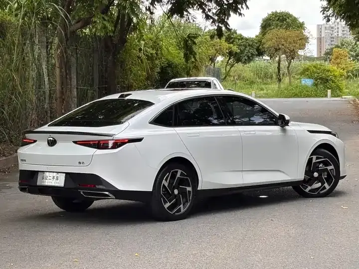 Yida 2023 Blue Whale NE 1.5T GDI DCT Flagship 4