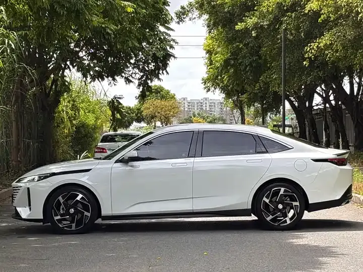 Yida 2023 Blue Whale NE 1.5T GDI DCT Flagship 7