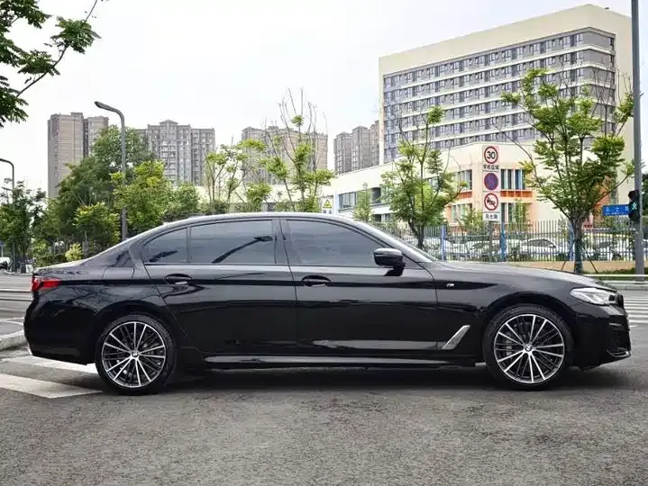 BMW 5 Series 2022 530Li Leading M Sports Suit 7