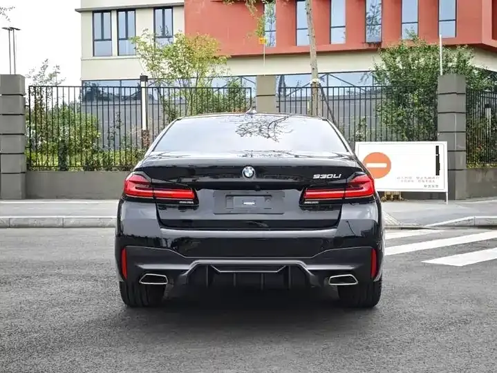 BMW 5 Series 2022 530Li Leading M Sports Suit 8