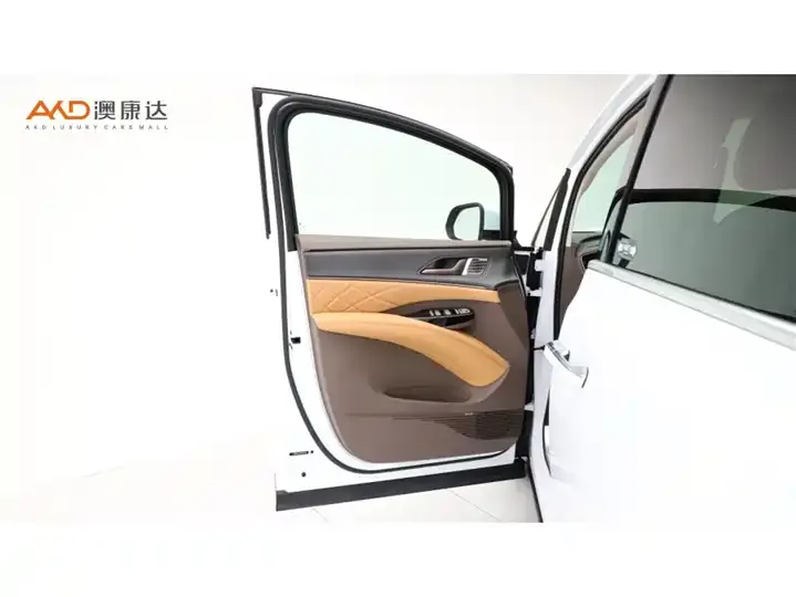 Denza D9 2022 DM-i 970 four-wheel drive flagship 11