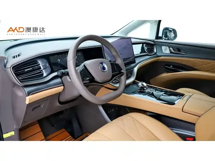Denza D9 2022 DM-i 970 four-wheel drive flagship 6