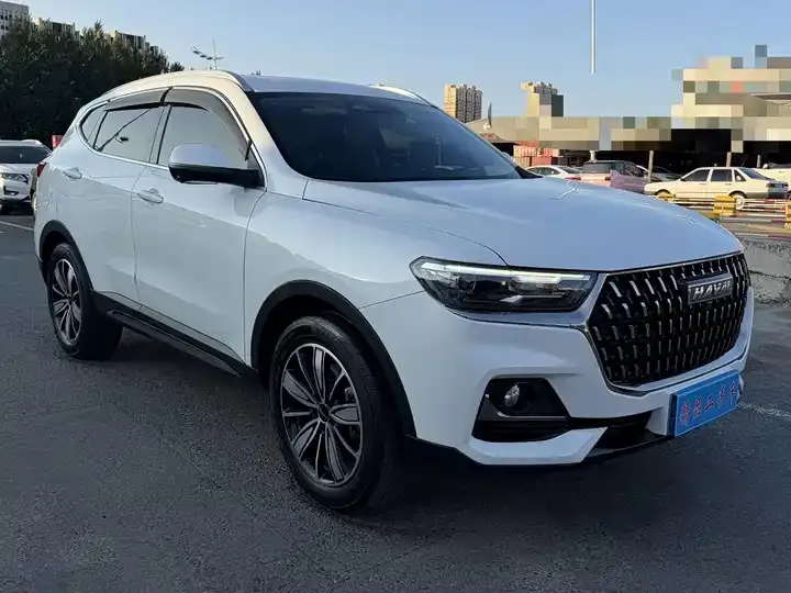 Haval H6 2023 National Tide Edition 1.5T Auto Champion Edition 3