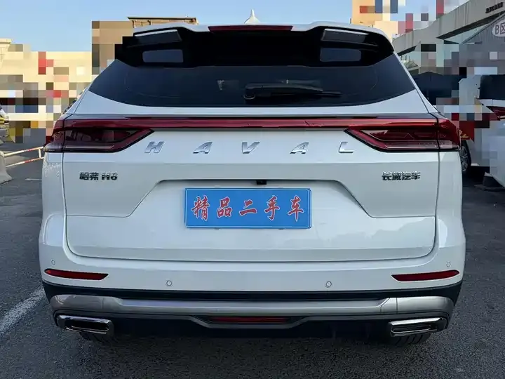 Haval H6 2023 National Tide Edition 1.5T Auto Champion Edition 5