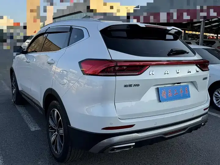 Haval H6 2023 National Tide Edition 1.5T Auto Champion Edition 6