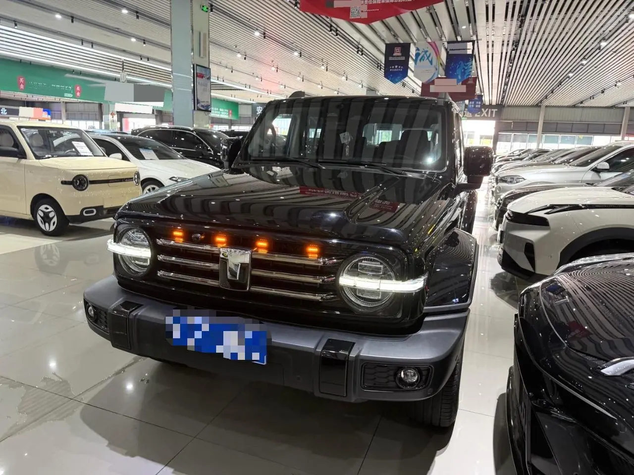 Tank 2024 Tank 300 48V 2.0T Crossing Automatic 4