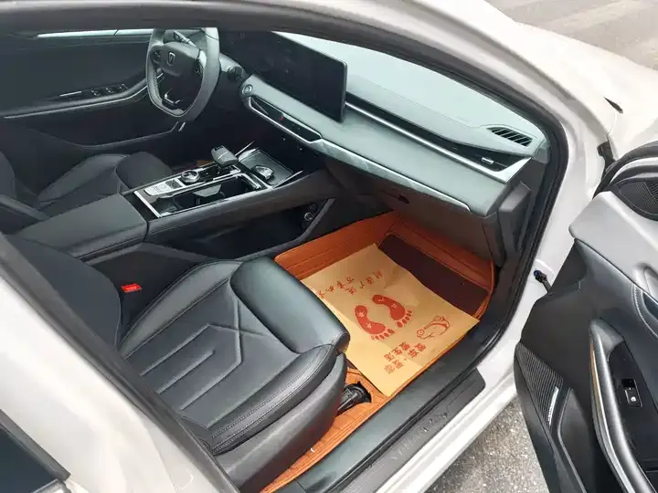Ruicheng PLUS 2023 1.5T DCT Pilot 10