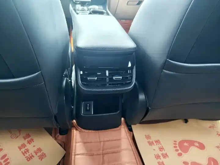 Ruicheng PLUS 2023 1.5T DCT Pilot 12