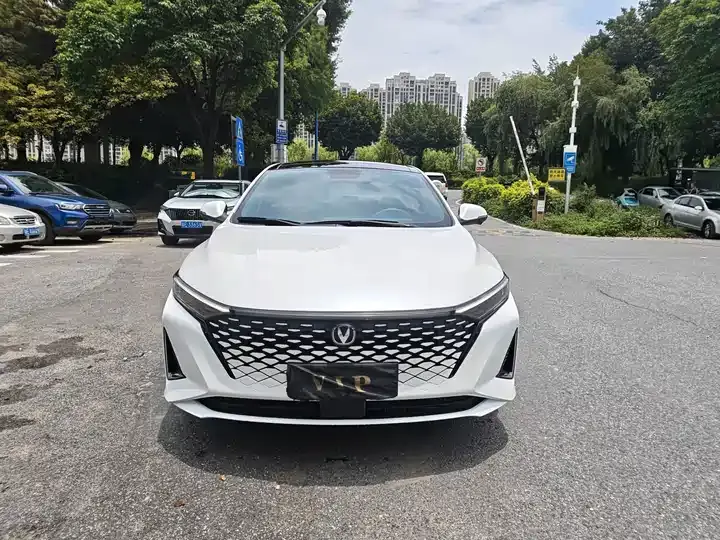 Ruicheng PLUS 2023 1.5T DCT Pilot 2