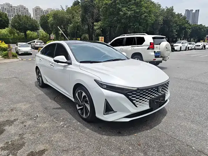 Ruicheng PLUS 2023 1.5T DCT Pilot 3