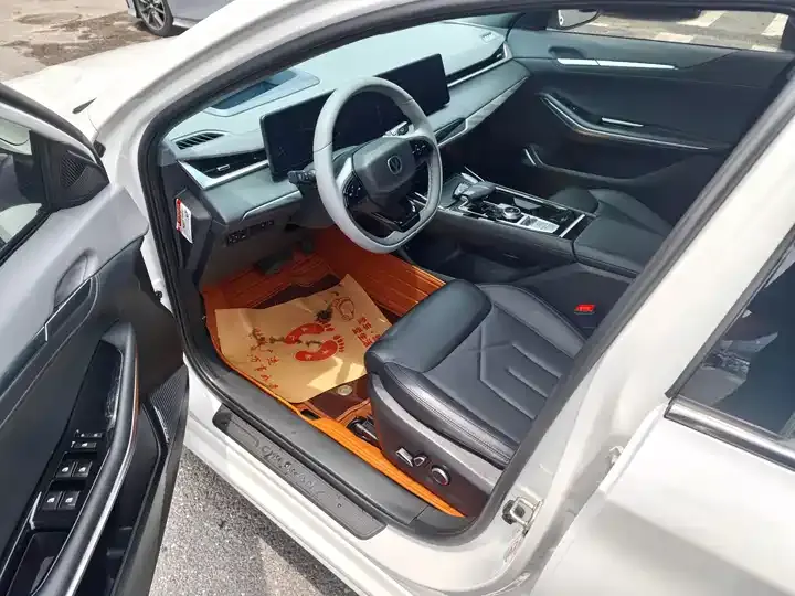 Ruicheng PLUS 2023 1.5T DCT Pilot 4