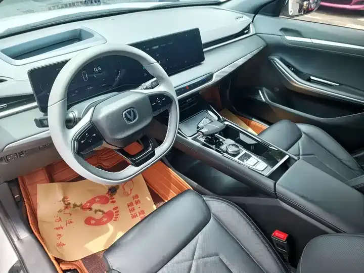Ruicheng PLUS 2023 1.5T DCT Pilot 5
