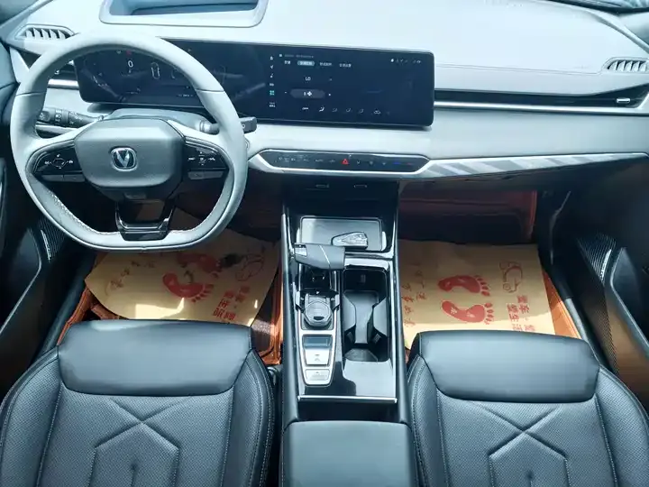 Ruicheng PLUS 2023 1.5T DCT Pilot 6