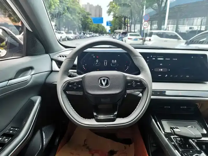 Ruicheng PLUS 2023 1.5T DCT Pilot 7
