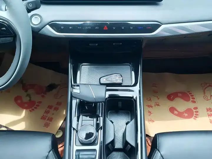 Ruicheng PLUS 2023 1.5T DCT Pilot 8