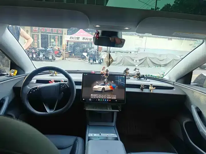 Model 3 2023 rear-wheel drive version 8