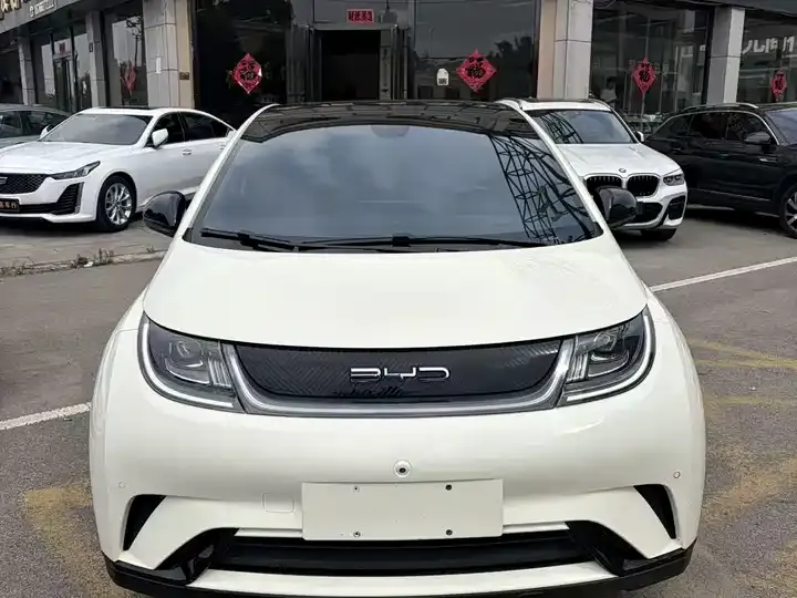 Dolphin 2023 420km Fashion Edition 2