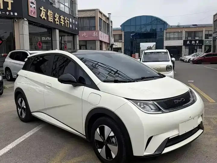 Dolphin 2023 420km Fashion Edition 3