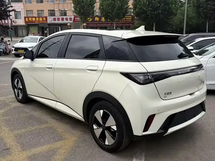 Dolphin 2023 420km Fashion Edition 5